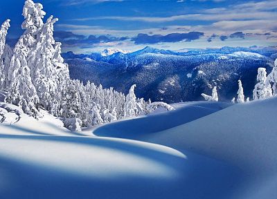 пейзажи, природа, зима, снег, деревья - оригинальные обои рабочего стола
