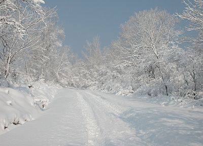 снег, деревья, дороги - обои на рабочий стол