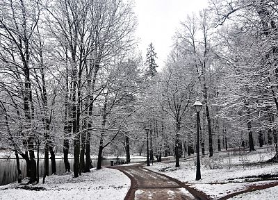 пейзажи, природа, зима, снег, деревья, леса, дороги - оригинальные обои рабочего стола