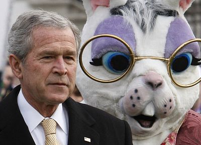 пресмыкающийся, костюм, знаменитости, кролики, президенты, Джордж Буш - обои на рабочий стол