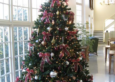 рождество, Рождественские елки - случайные обои для рабочего стола