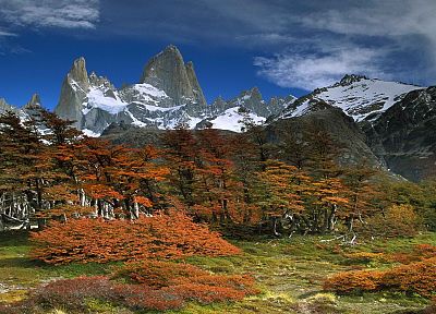пейзажи, деревья, Аргентина, бук, Национальный парк, крепление - похожие обои для рабочего стола