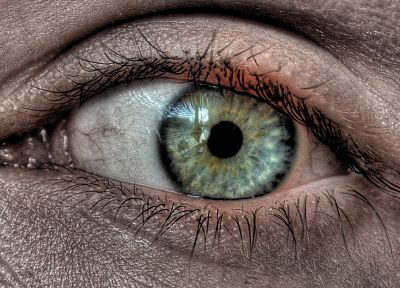 зеленый, глаза - случайные обои для рабочего стола