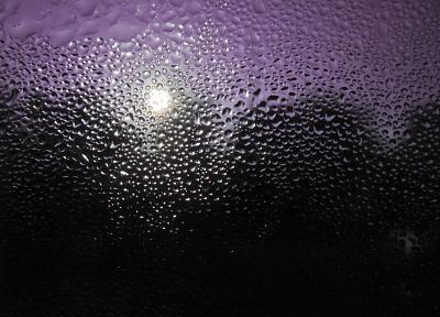вода, фиолетовый, влажный, капли воды, конденсация - оригинальные обои рабочего стола