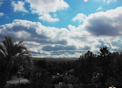 облака, природа, долины, Калифорния, пальмовые деревья, выборочная раскраска, небо - обои на рабочий стол