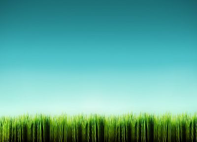 синий, минималистичный, трава - обои на рабочий стол