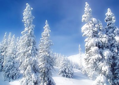пейзажи, природа, зима, снег, деревья, голубое небо - обои на рабочий стол