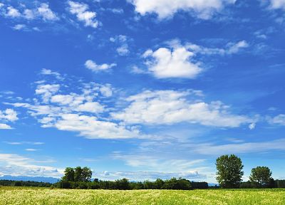 облака, деревья, трава, небо - обои на рабочий стол