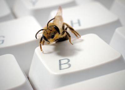 крупный план, пчелы - копия обоев рабочего стола