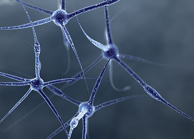 абстракции, нейроны - похожие обои для рабочего стола