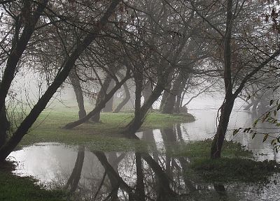 вода, природа, деревья, туман - обои на рабочий стол