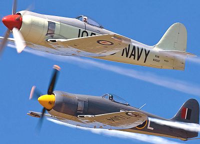 самолет, военный, самолеты, Hawker Sea Fury - оригинальные обои рабочего стола