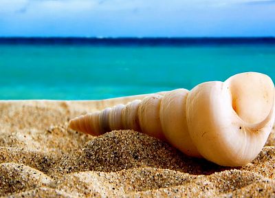песок, ракушки, пляжи - случайные обои для рабочего стола