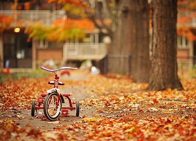деревья, осень, улицы, листья, трехколесные велосипеды - оригинальные обои рабочего стола