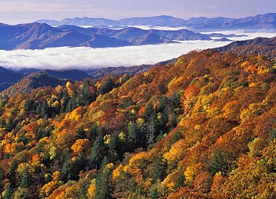 пейзажи, природа, туман, Национальный парк, Грейт-Смоки- горы, Северная Каролина - случайные обои для рабочего стола