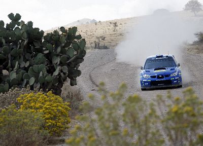 ралли, Subaru, Subaru Impreza WRC - копия обоев рабочего стола