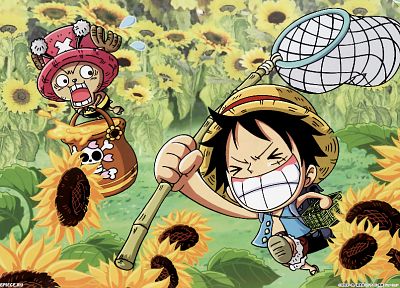 One Piece ( аниме ), прерыватель, Обезьяна D Луффи - случайные обои для рабочего стола