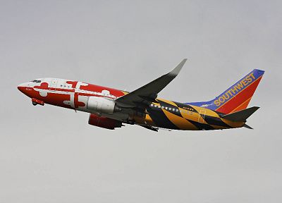 самолет, транспортные средства - случайные обои для рабочего стола