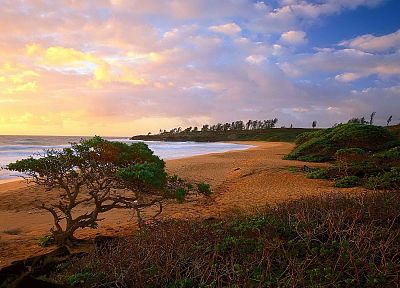Гавайи, осел, Кауаи, пляжи - копия обоев рабочего стола