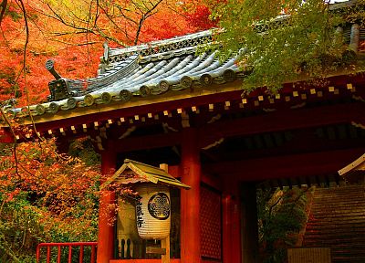 Япония, деревья, осень, дома - оригинальные обои рабочего стола