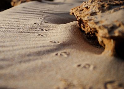 песок, скалы - обои на рабочий стол