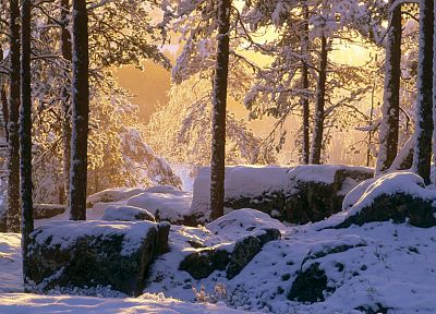 природа, зима, снег, деревья, скалы, солнечный свет - случайные обои для рабочего стола