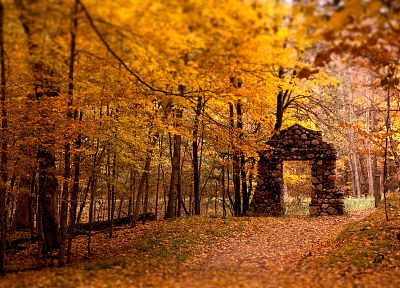 пейзажи, природа, осень, леса, ворота - оригинальные обои рабочего стола