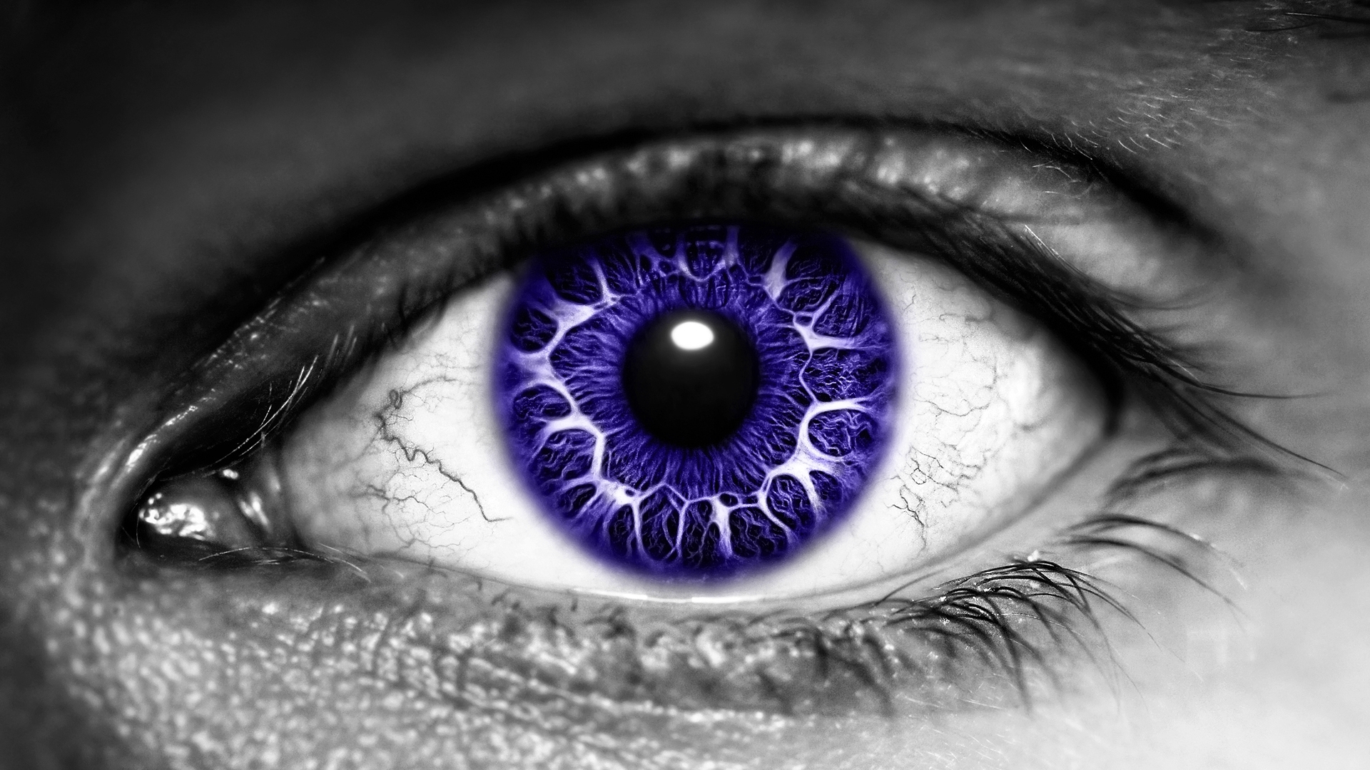 глаза, фиолетовый, выборочная раскраска - обои на рабочий стол