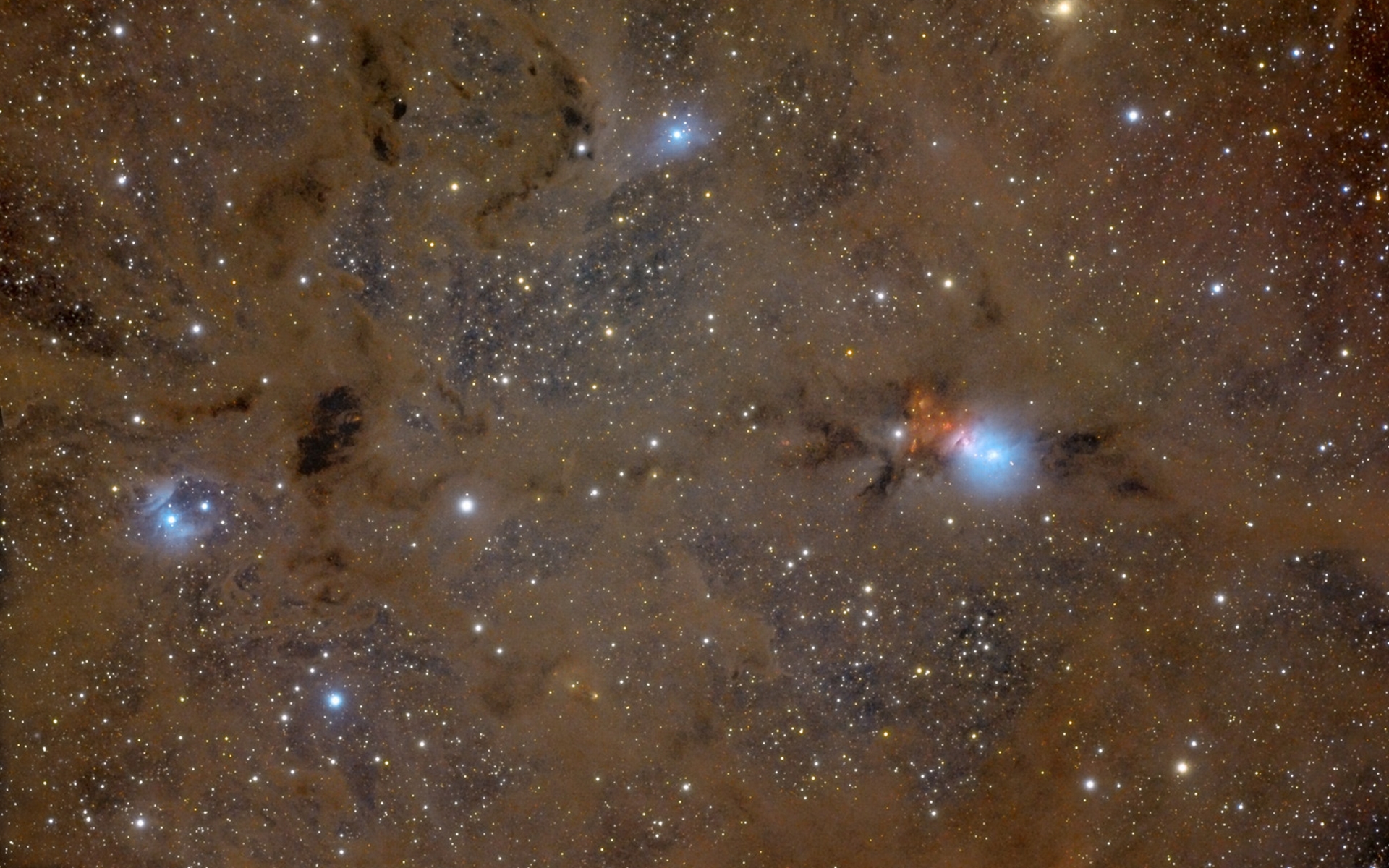 Звездная пыль это. Звездная пыль астрономия. NGC 1333 туманность. Звездная пыль космос. Звездная пыль звезда.