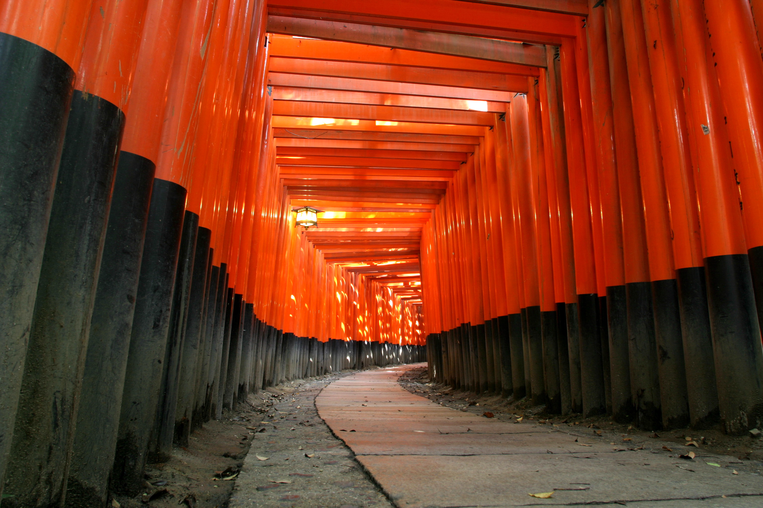 Япония, ходить, японский, Киото, красный путь, Фусими Инари Храм - обои на рабочий стол