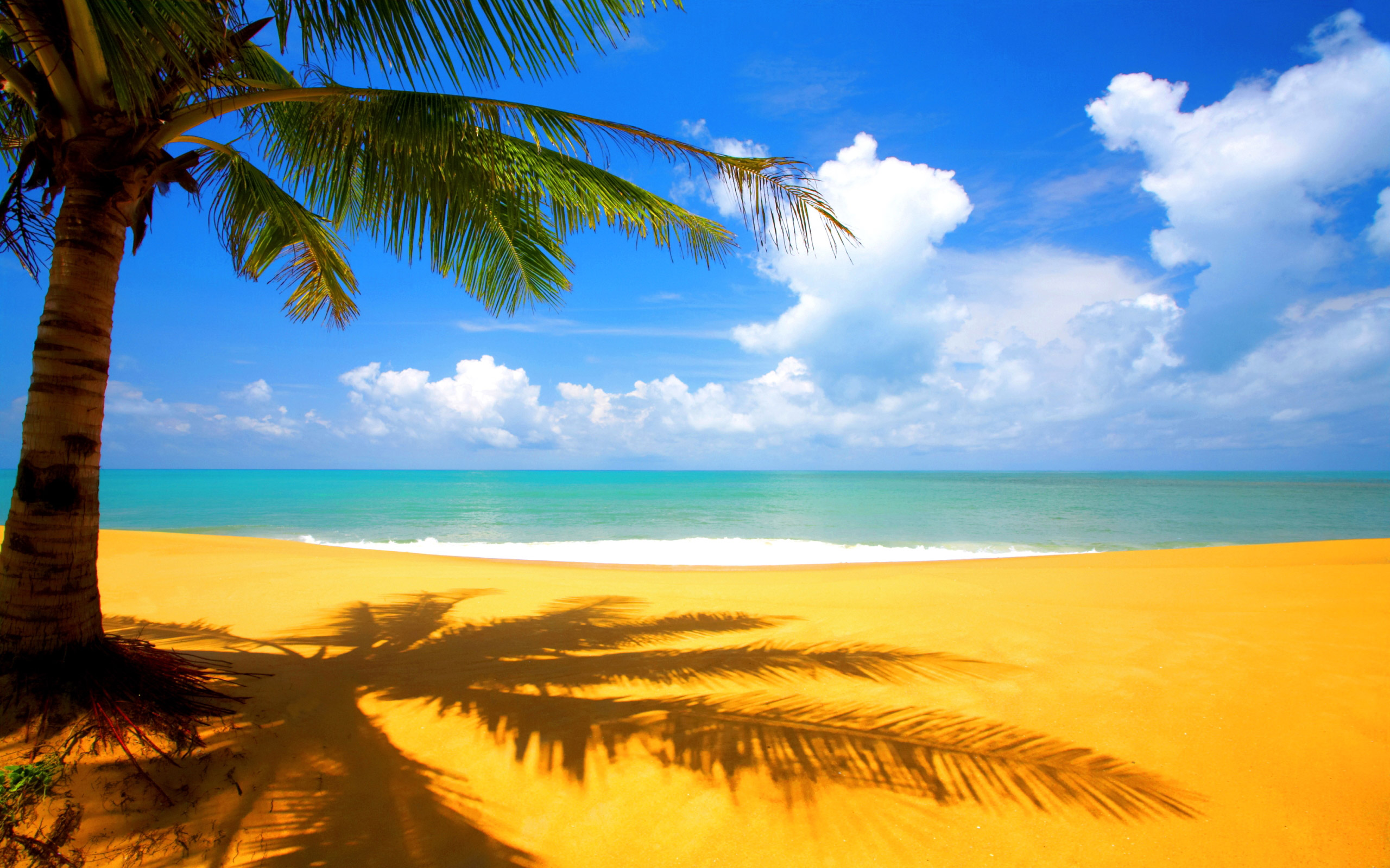облака, песок, пальмовые деревья, пляжи - обои на рабочий стол