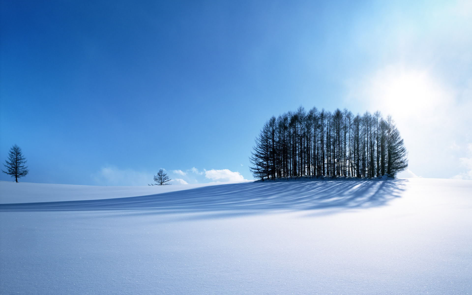 пейзажи, снег, деревья, зимние пейзажи - обои на рабочий стол