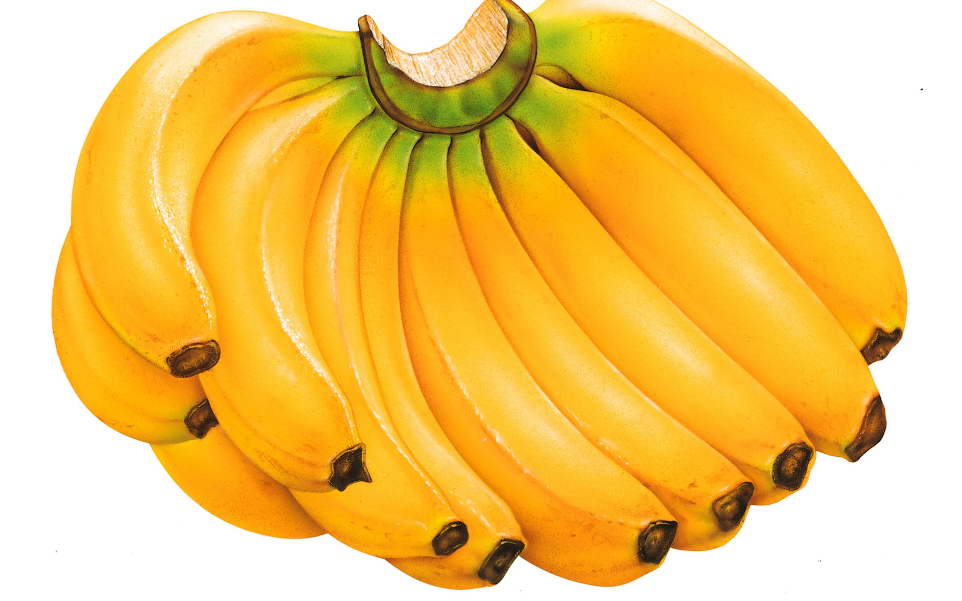 фрукты, еда, бананы, белый фон - обои на рабочий стол