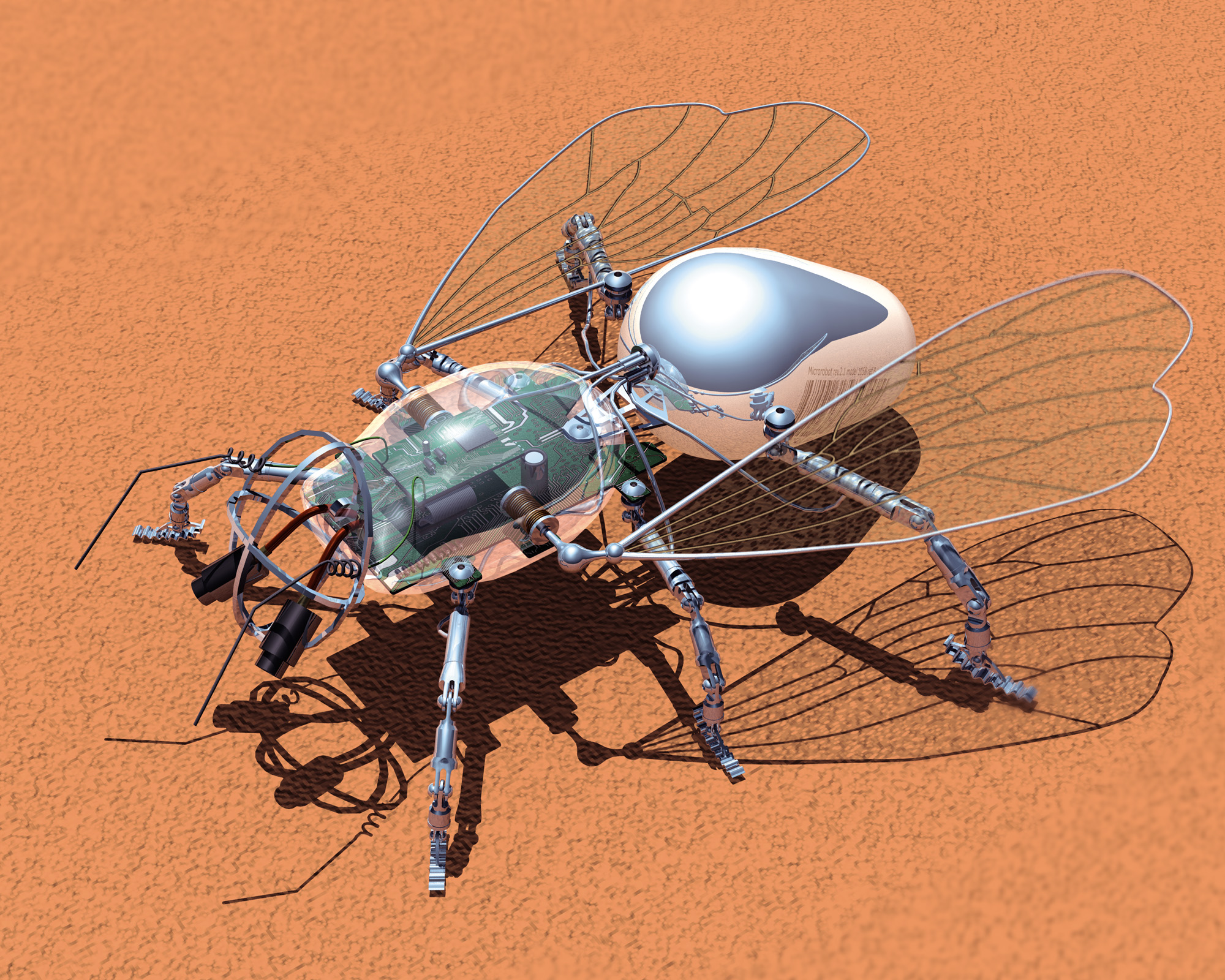 робот, насекомые - обои на рабочий стол