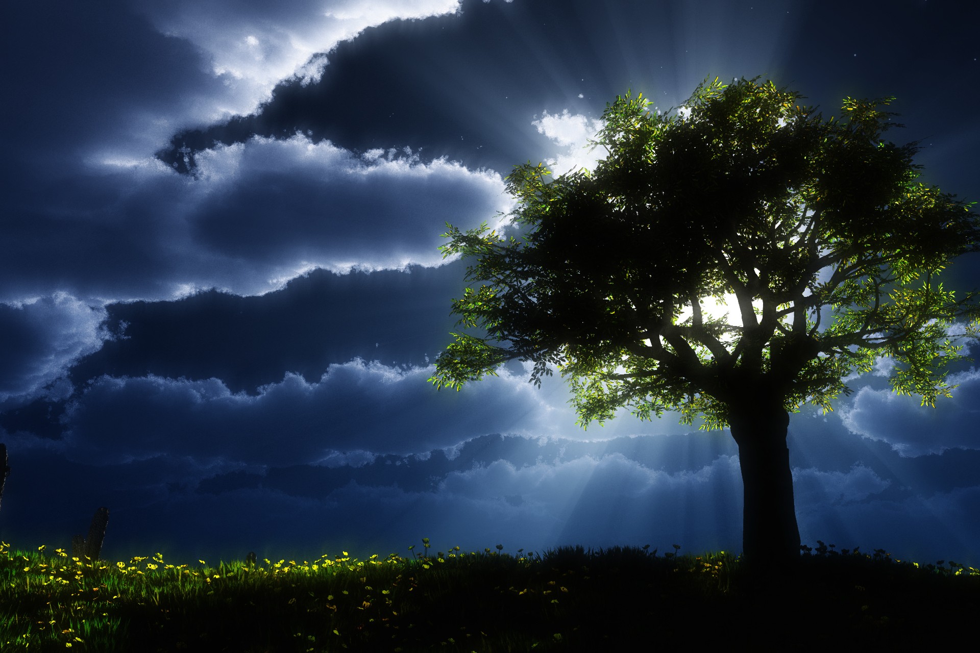Свет на одинокое дерево