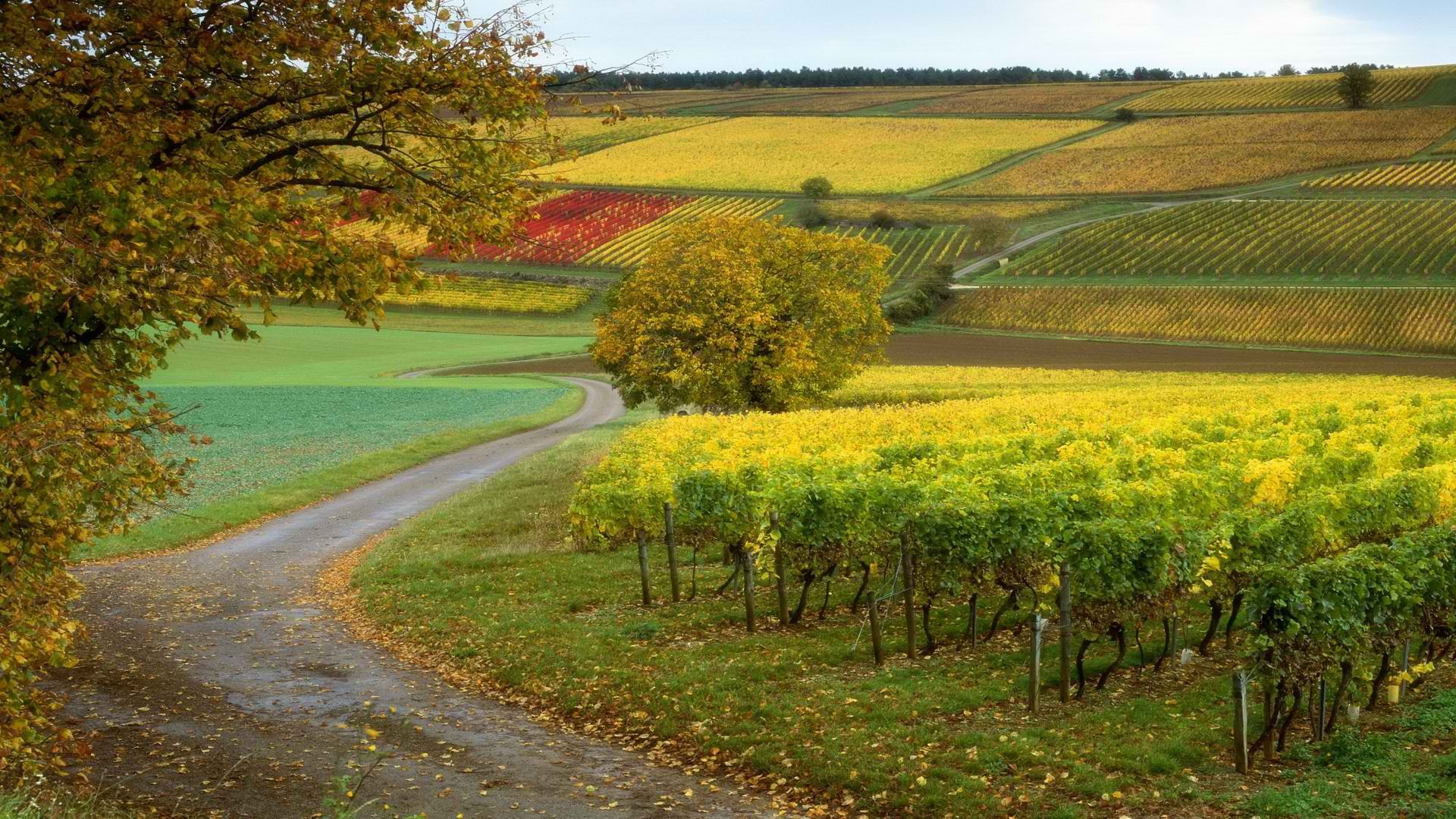 Плодородные земли Франции