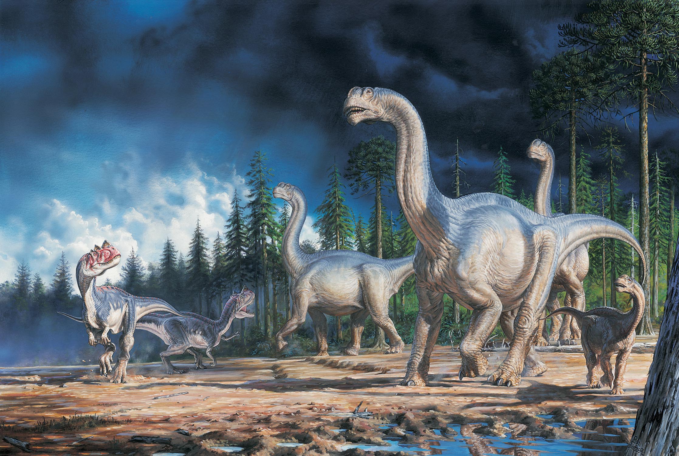 Динозавры это животные. Юрский период мезозойской эры. Древние динозавры. Красивые динозавры.