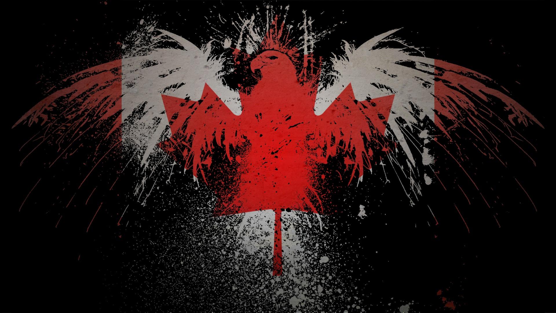 краска, ястреб, Канада, Канадский флаг - обои на рабочий стол