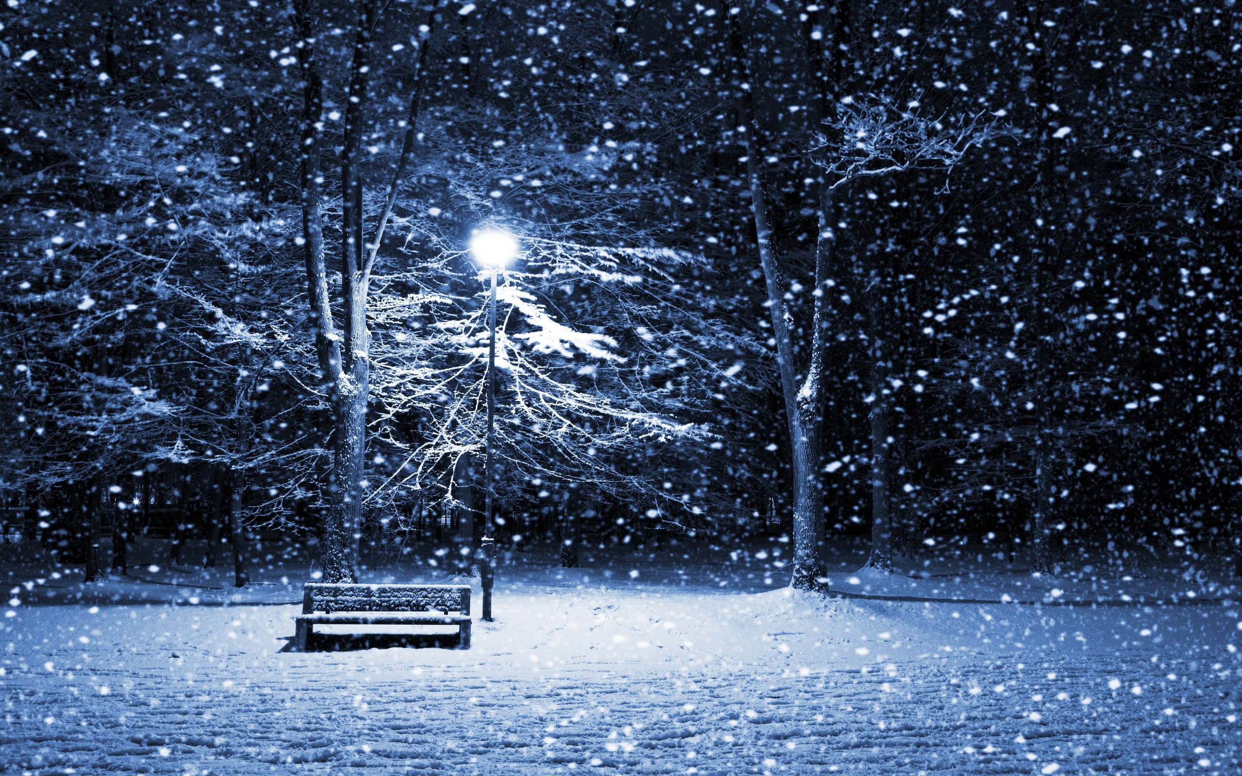 зима, снег, ночь, скамья, фонарные столбы - обои на рабочий стол