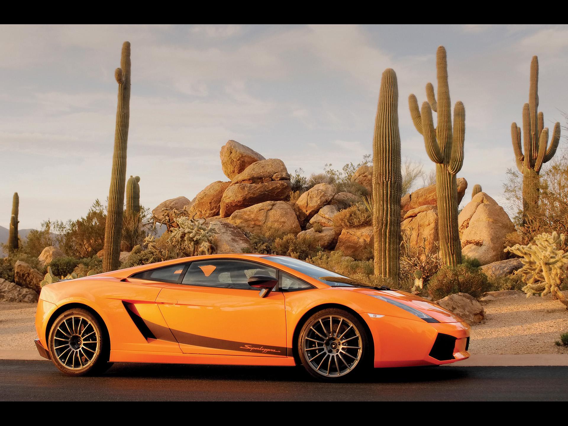 автомобили, оранжевый цвет, Ламборгини, кактус, транспортные средства, суперкары, Lamborghini Gallardo, вид сбоку, Lamborghini Gallardo Superleggera LP570-4, итальянские автомобили - обои на рабочий стол