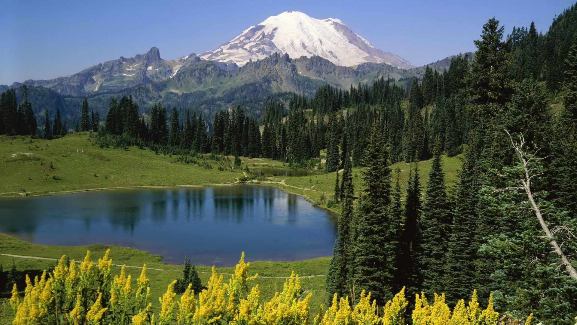 горы, пейзажи, деревья, озера, Национальный парк, Маунт-Рейнир, Государственный Вашингтон - обои на рабочий стол