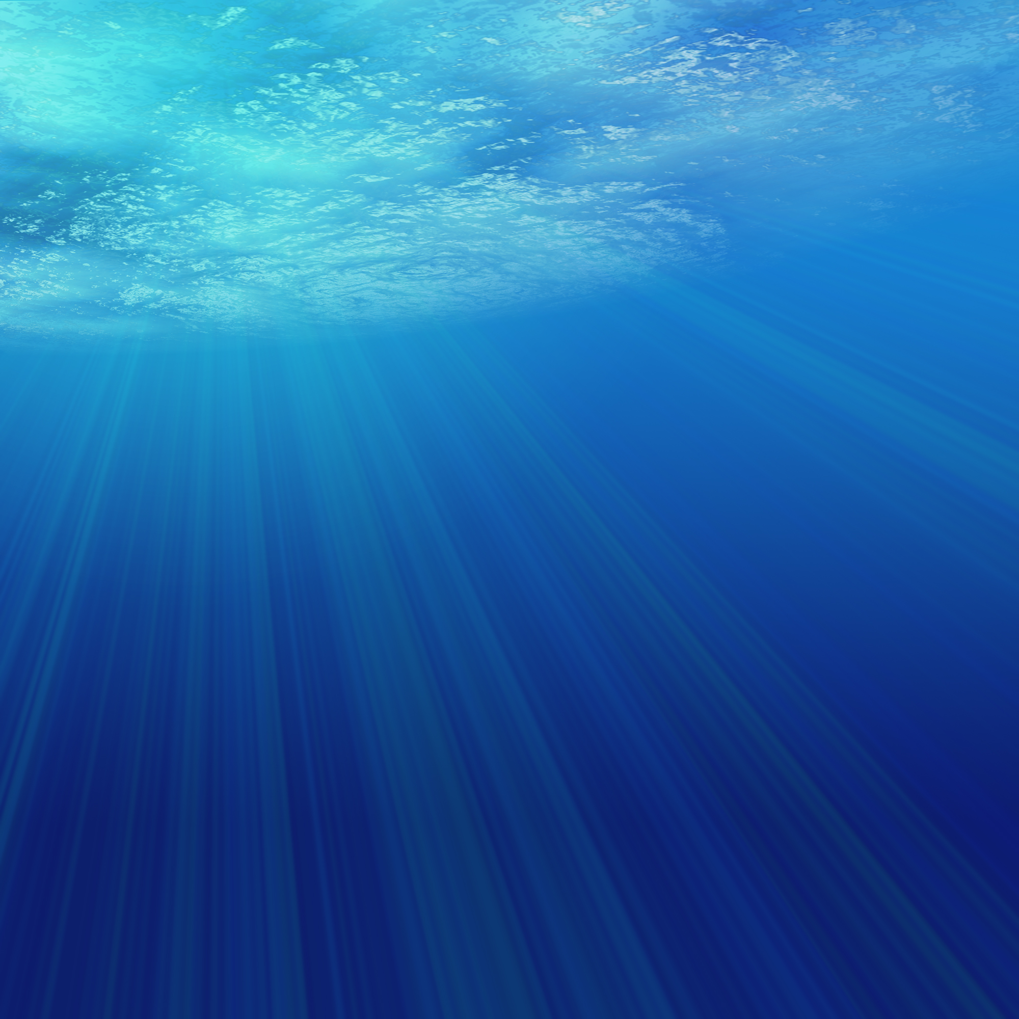 океан, под водой - обои на рабочий стол