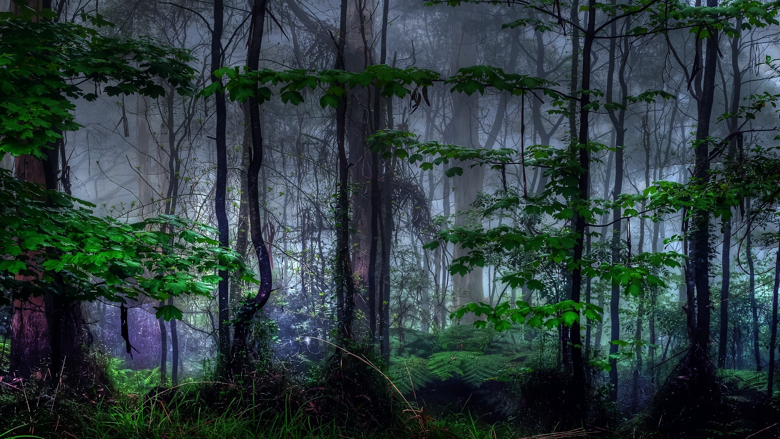 природа, деревья, темнота, леса, туман - обои на рабочий стол