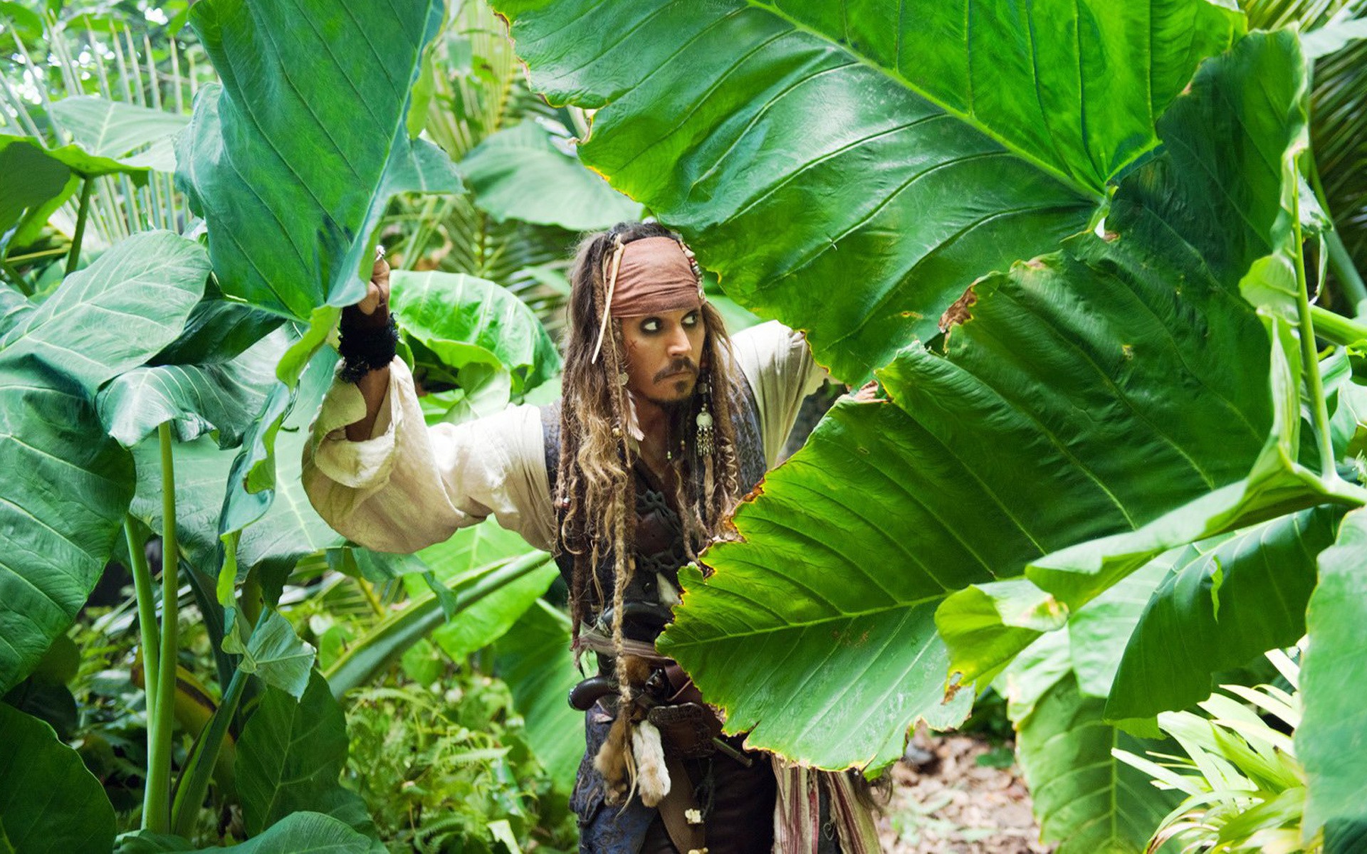 люди, растения, Пираты Карибского моря, Джонни Депп - обои на рабочий стол