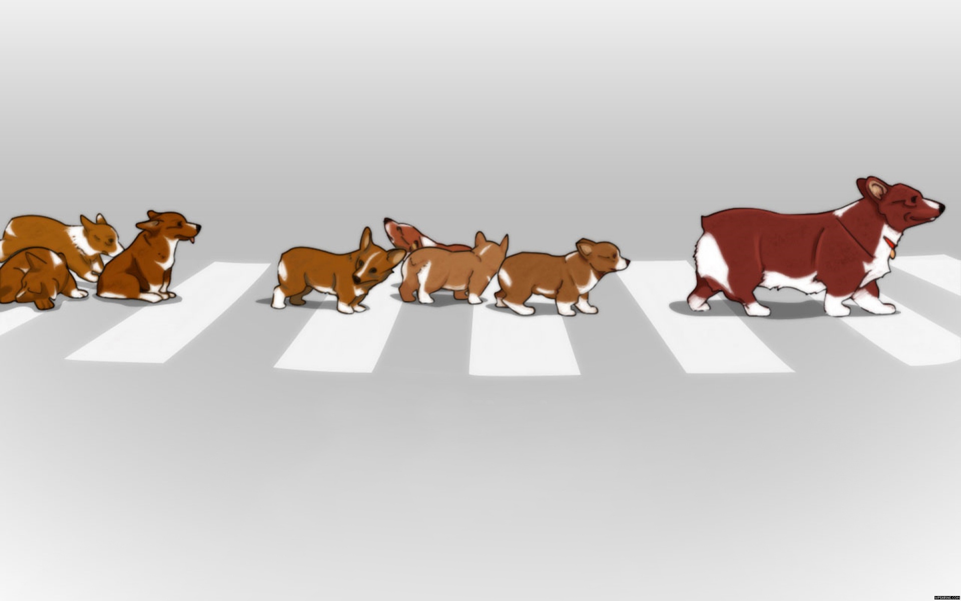 животные, Cowboy Bebop, собаки, щенки, корги, переходы, улица, Ein ( Cowboy Bebop ) - обои на рабочий стол
