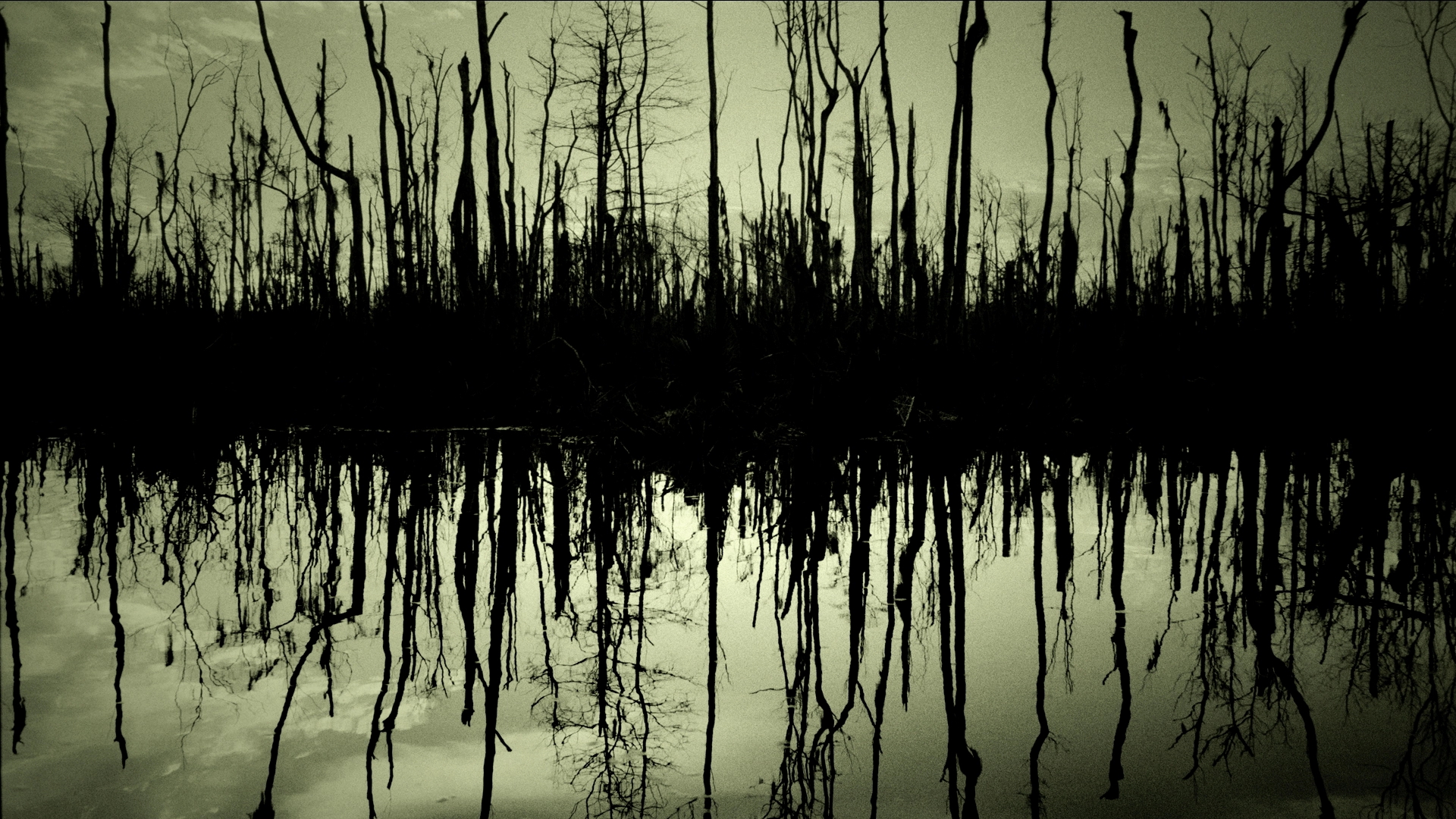 Темные болота