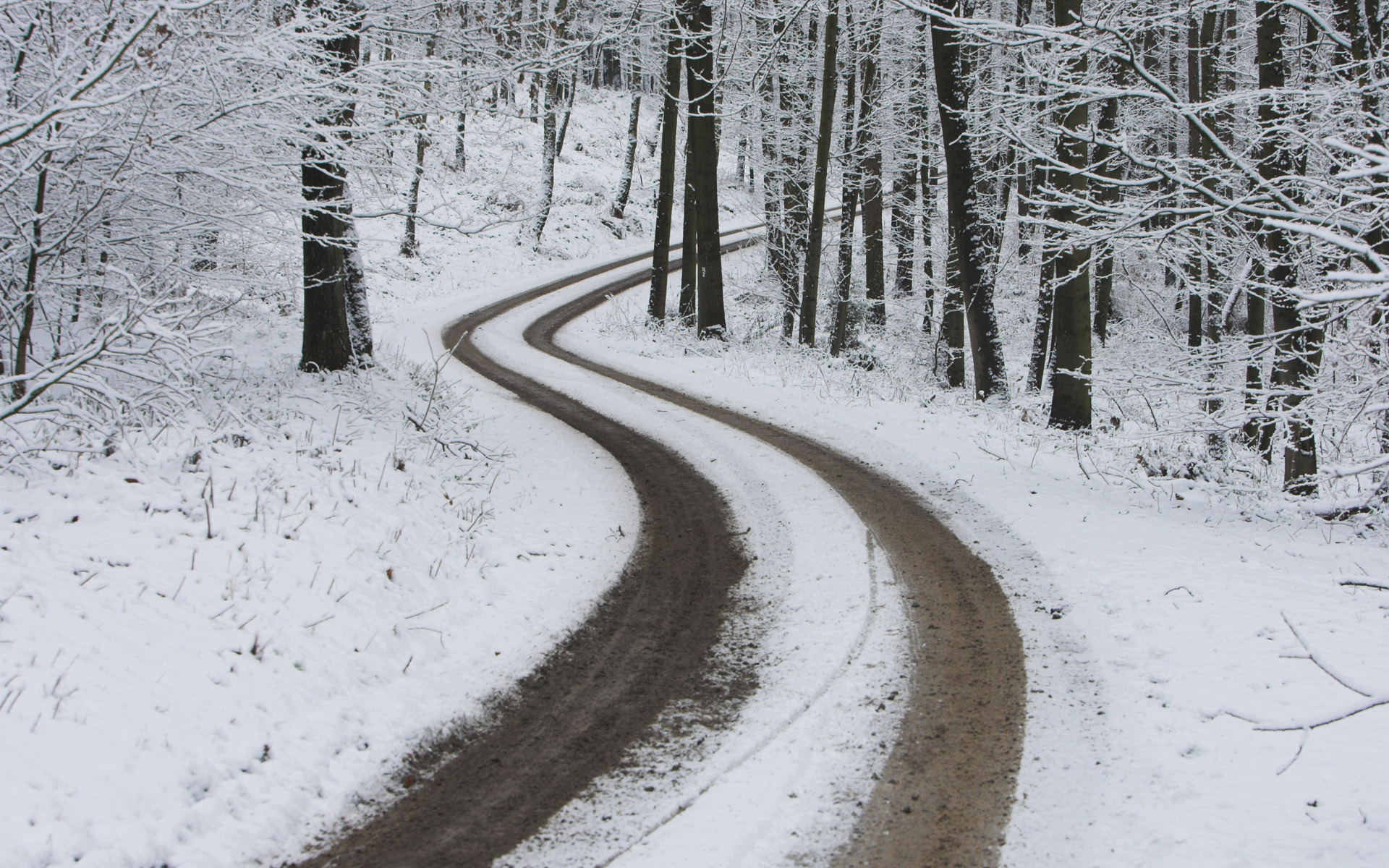Дорога без снега