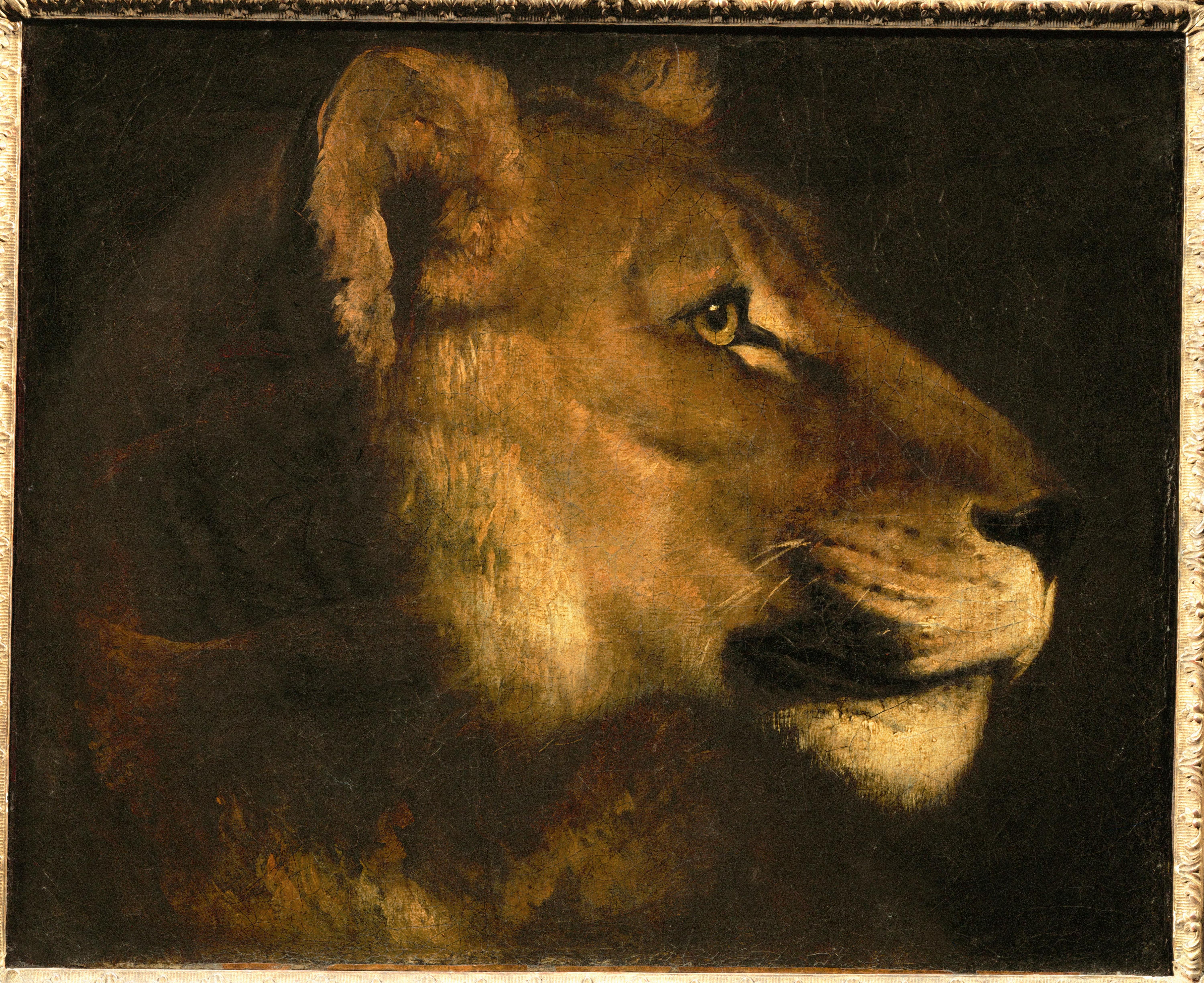картины, животные, львы, Теодор Жерико - обои на рабочий стол