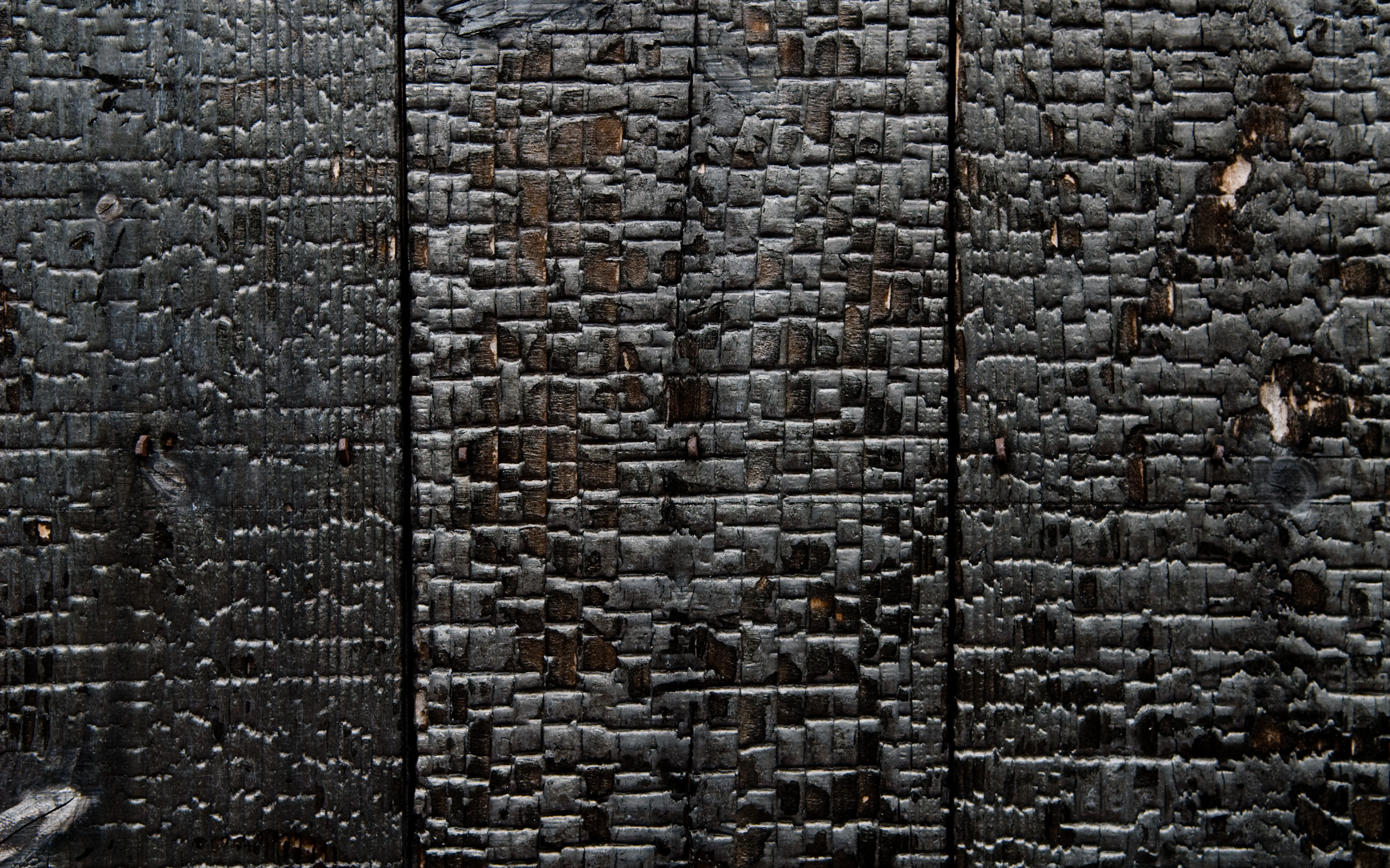 текстуры, текстура древесины - обои на рабочий стол