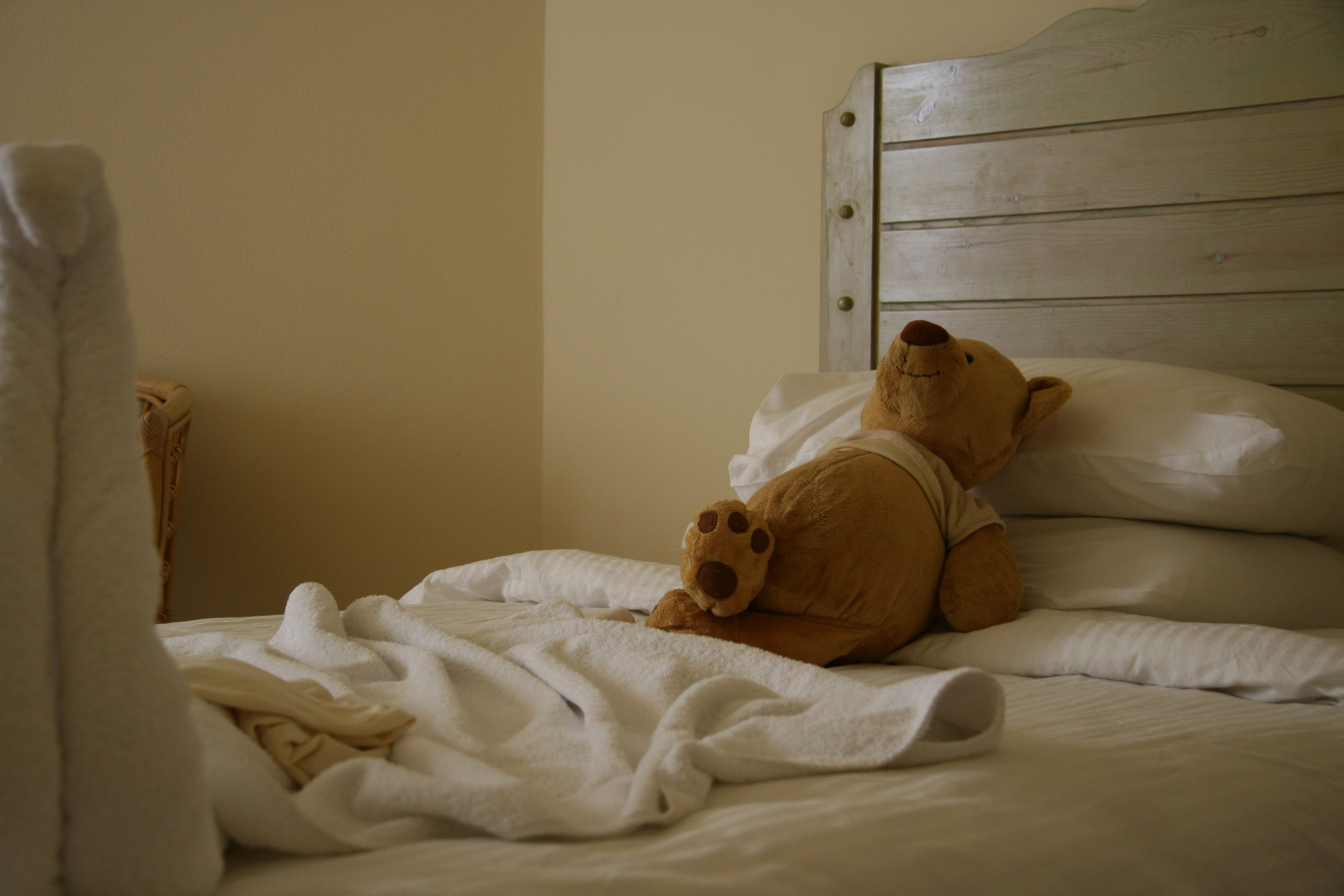 Пойдешь в комнату спать. Медвежонок в постели. Кровать "мишки". Валяться в кровати.